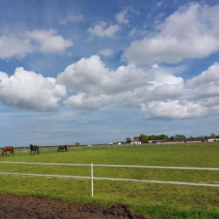 Braemar Equestrian, East Riding Of Yorkshire Ξενοδοχείο Burton Pidsea Εξωτερικό φωτογραφία