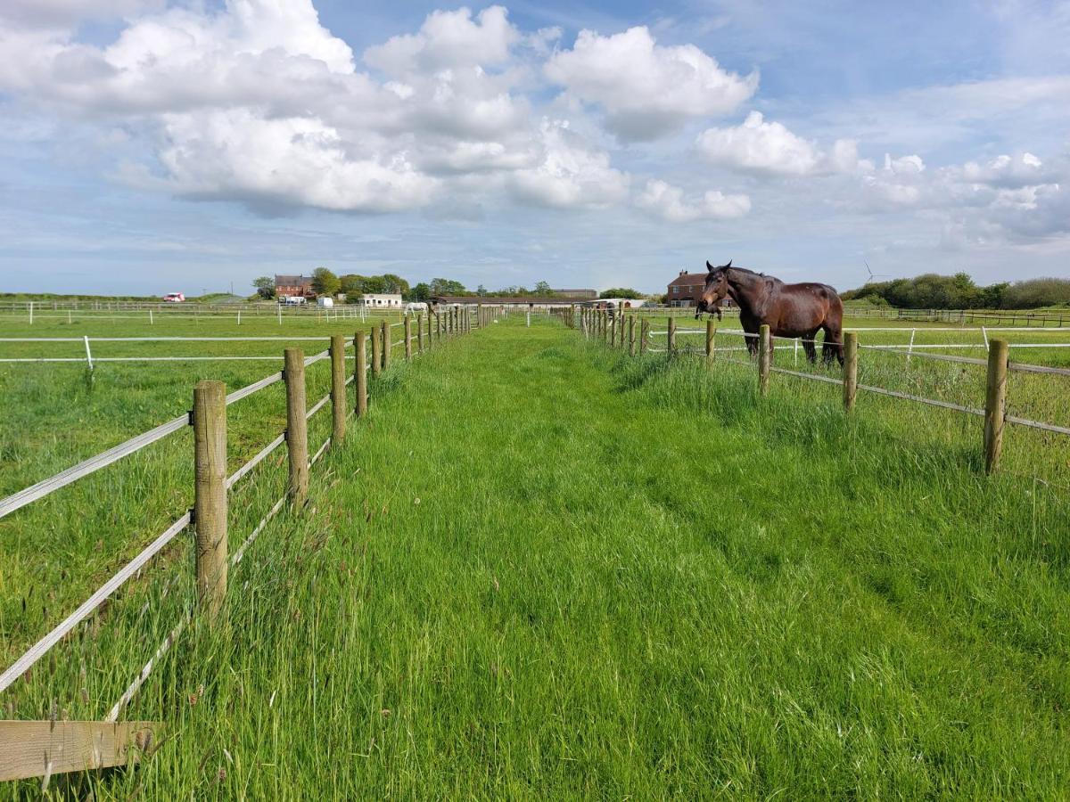 Braemar Equestrian, East Riding Of Yorkshire Ξενοδοχείο Burton Pidsea Εξωτερικό φωτογραφία